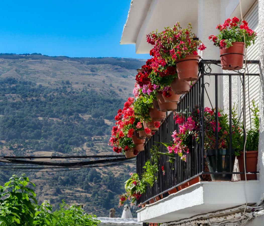 Apartamento Casa Cecilia Bubión Exterior foto